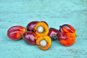 Egzotyczny olej z czerwonej palmy. Dobry na cholesterol i problemy skórne