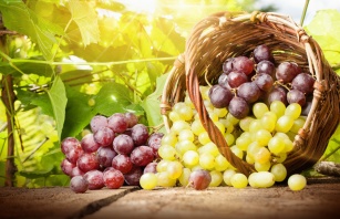 Ekstrakt z pestek winogron zobacz na co jest skuteczny?