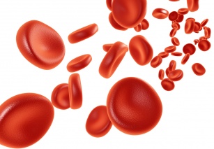 Dieta w zgodzie z grupą krwi – dla osób z grupą B