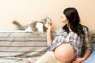 Koci problem. Toksoplazmoza w ciąży – jak jej uniknąć?