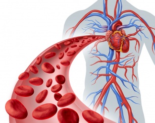 Jak usprawnić krążenie krwi i ustrzec się przed chorobami serca? 10 porad jak tego dokonać!