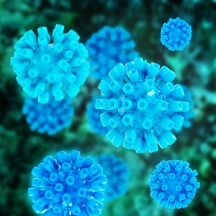 Wirus HCV i przypadkowe zarażenia