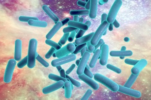 Pałeczka ropy błękitnej - niebezpieczna bakteria oporna na antybiotyki!