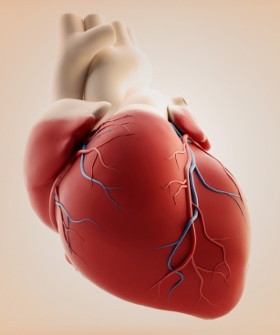 Objawy, leczenie i zapobieganie choroby niedokrwienia serca