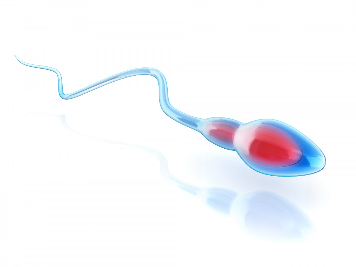 сперма во влагалище у детей фото 105