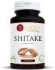 Shitake