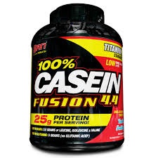 SAN - 100 % Casein Fusion - 1000 g