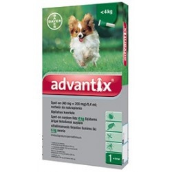 BAYER PET CARE  Advatinx, 4 x 0,4 ml