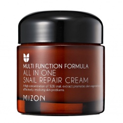 MIZON - All In One Snail Repair Cream, 75 ml