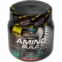 MUSCLE TECH - Amino Build Performance Series - 261 g