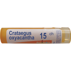 Boiron Crataegus oxyacantha, 15CH, granulki, 4 g