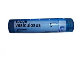 Boiron Fucus vesiculosus, 9CH, granulki, 4 g