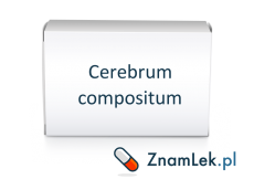 Cerebrum compositum