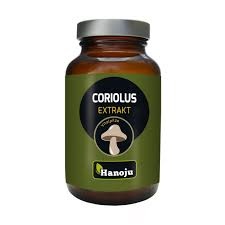 Coriolus Extrakt, 90 tabletek