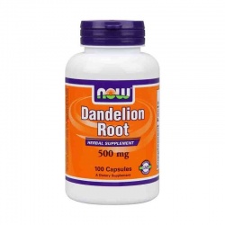 Dandelion Root 500 mg - 100 kaps