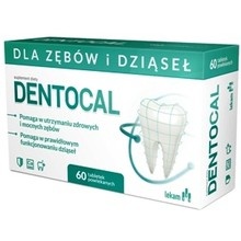 Dentocal 60 tabl