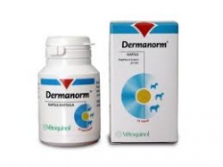 Dermanorm