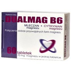 Dualmag B6, tabletki, 60 szt