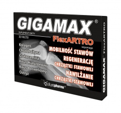 Gigamax Flex Artro 30tabl