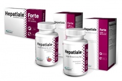 Hepatiale Forte Large Breed, 40 tabletek