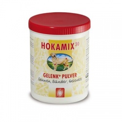 Hokamix Gelenk+ Pulver, 700 g