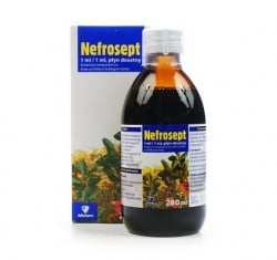 Nefrosept , płyn, 280 ml