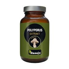 Polyporus, 90 tabletek