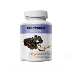 Polyporus, 90 kapsul, medicinske gobe-500x500