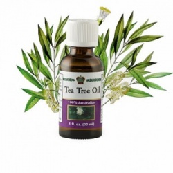 Tea Tree Oil, 30ml