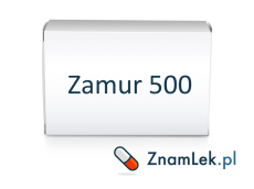 Zamur 500