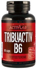 Tribuactive B6