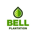 BELL PLANTATION