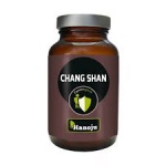 Chang Shan