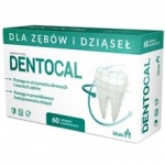 Dentocal