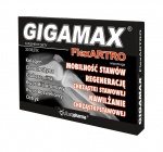 Gigamax Flex Artro