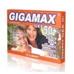 GIGAMAX GEE