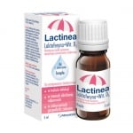 Lactinea