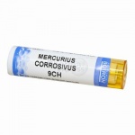 Mercurius corrosivus  9CH