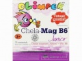 Chela-Mag B6 Junior