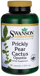 Prickly Pear Cactus Opuntia